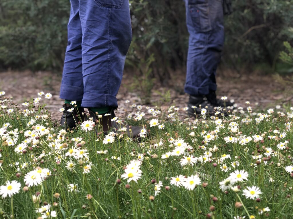 Urban Wildscapes Field Work